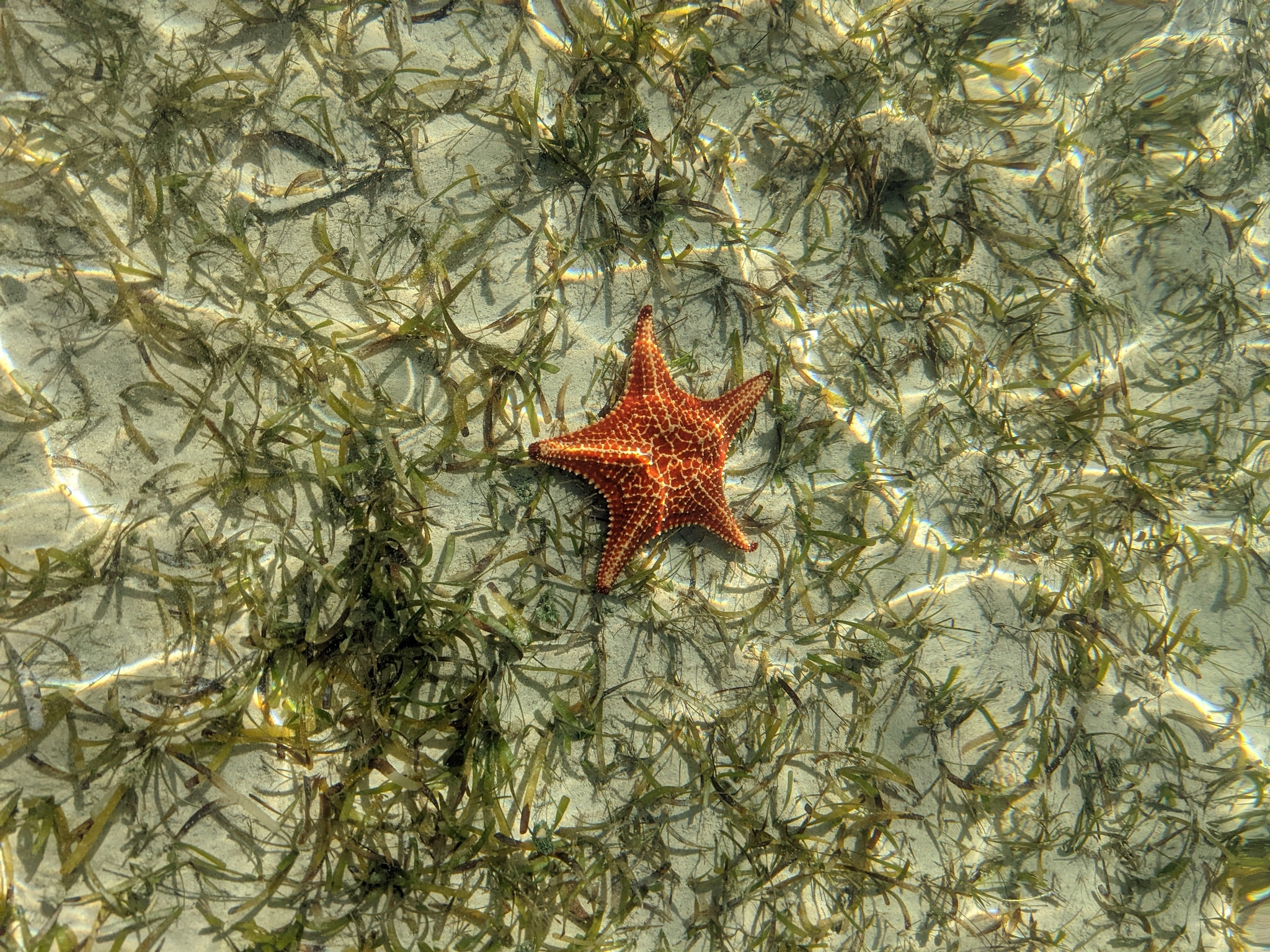 Grand Cayman, Cayman Islands